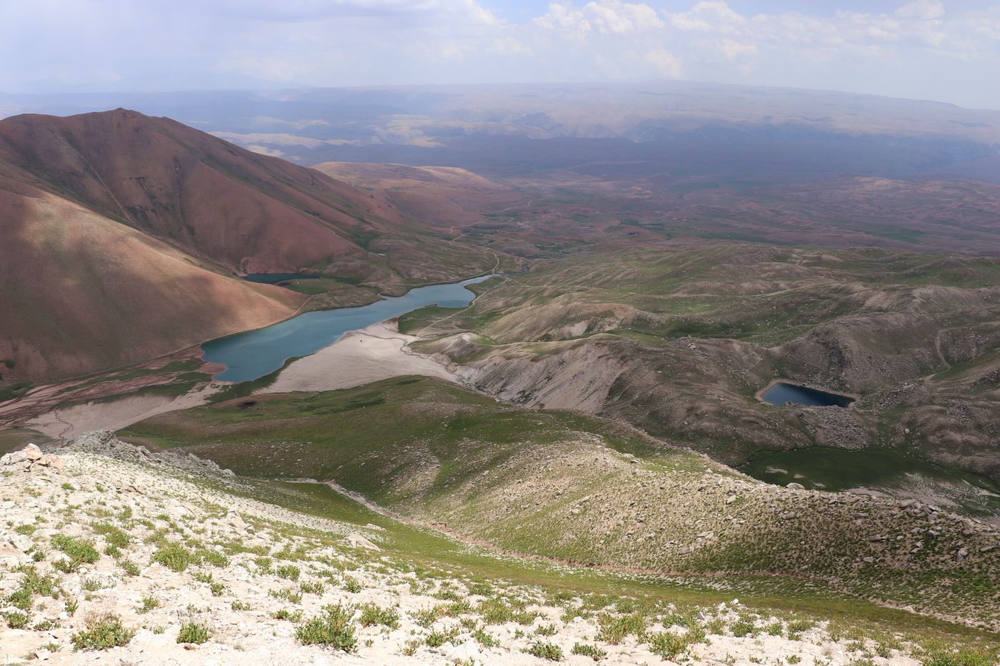 Арашан, image of landscape/habitat.