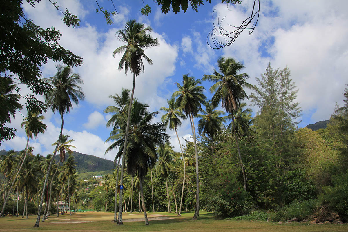 Остров Маэ, изображение ландшафта.
