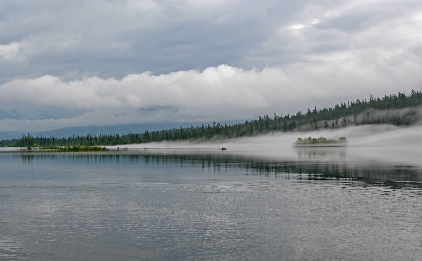 Устье реки Кутарамакан, image of landscape/habitat.