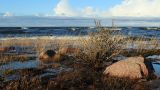 Image of landscape