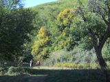 Image of landscape