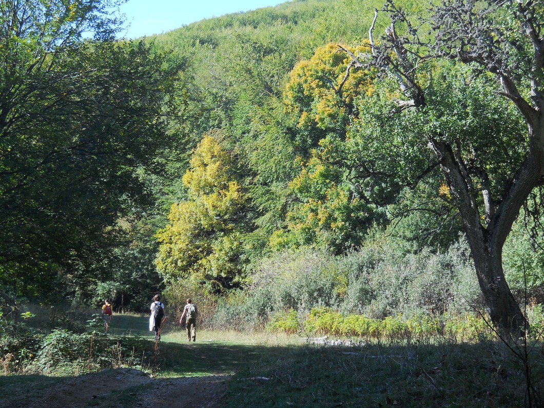 Чатырдаг, image of landscape/habitat.