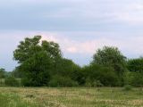 Image of landscape