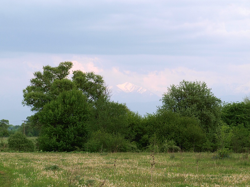 Север Осетинской равнины, image of landscape/habitat.