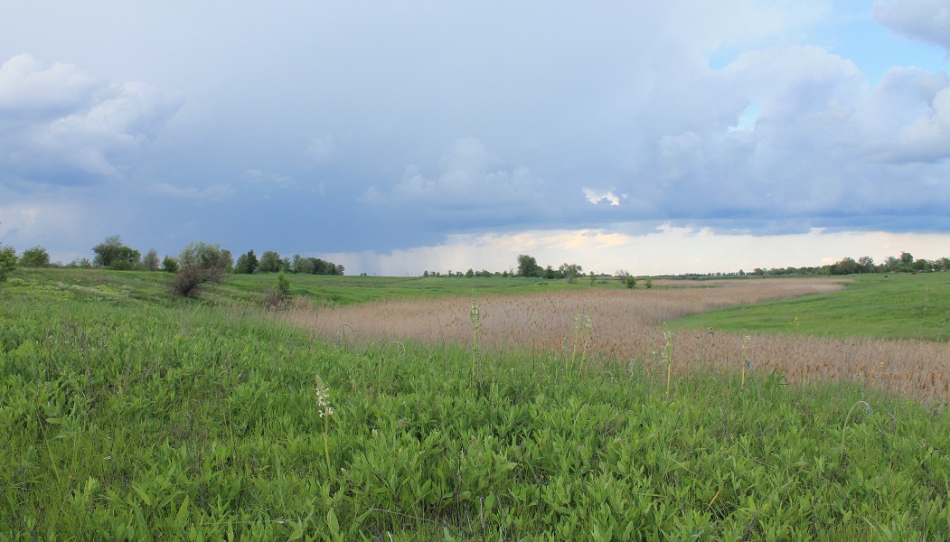 Отрог балки Широкой, image of landscape/habitat.