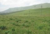 Image of landscape