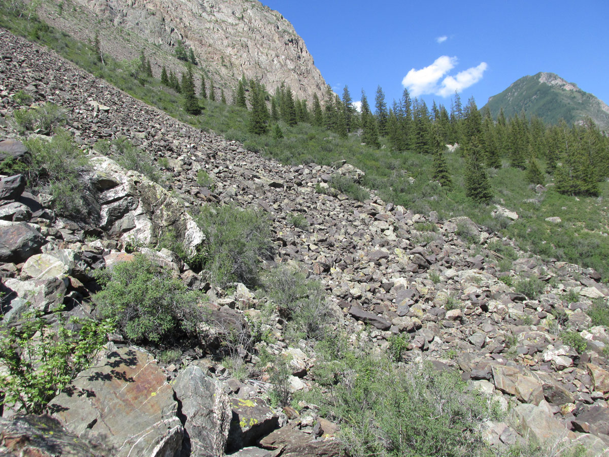 Долина реки Чуя, среднее течение, image of landscape/habitat.