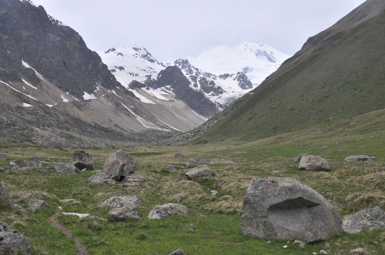 Урочище Экяра, image of landscape/habitat.