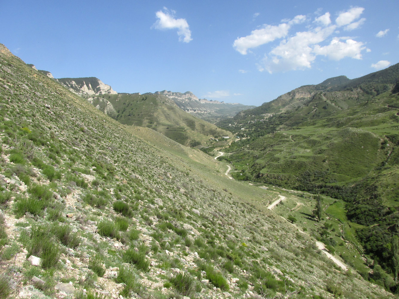 Цудахар (Горный ботсад и рядом), image of landscape/habitat.