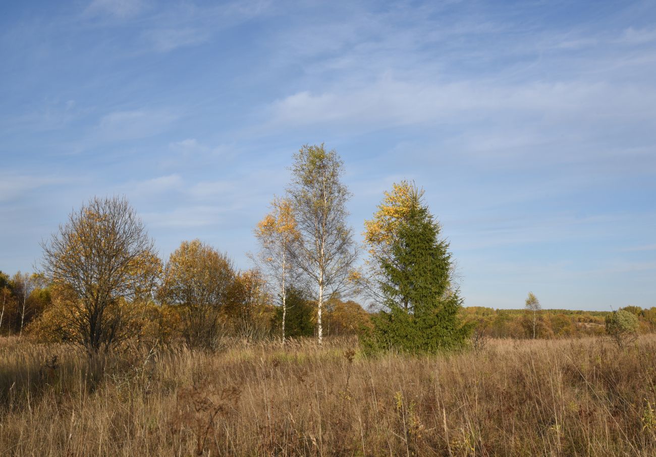 Окрестности деревни Никитск, image of landscape/habitat.