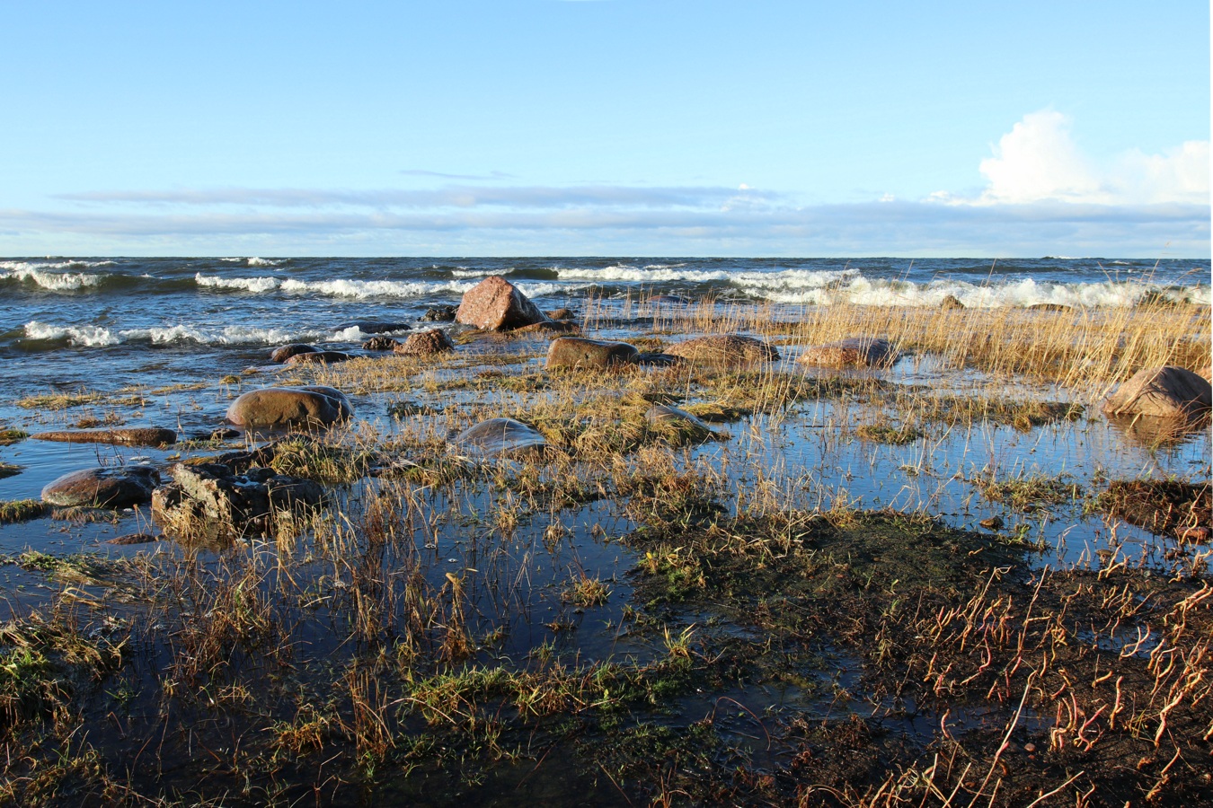Каравалдай, image of landscape/habitat.