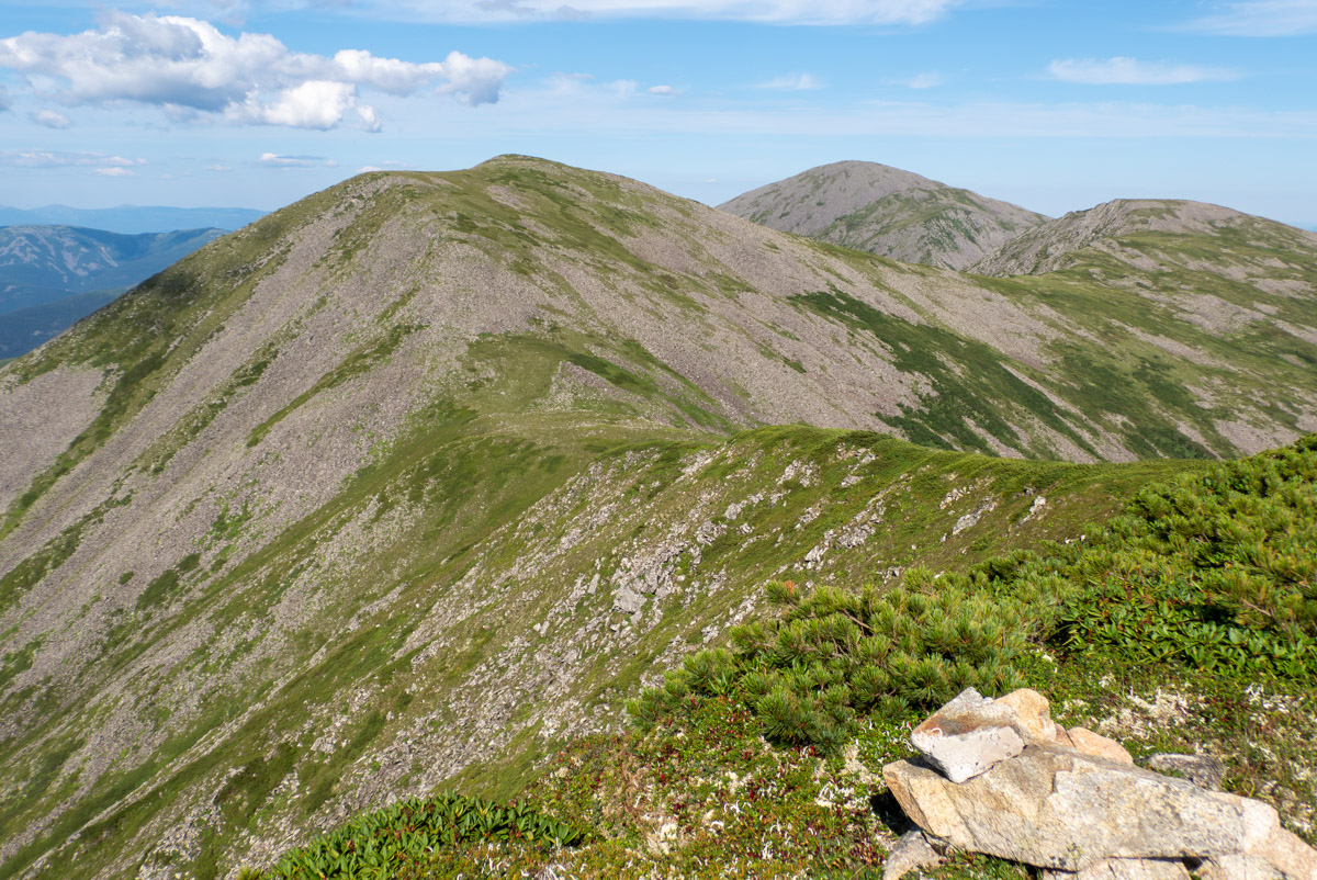 Гора Ко, image of landscape/habitat.