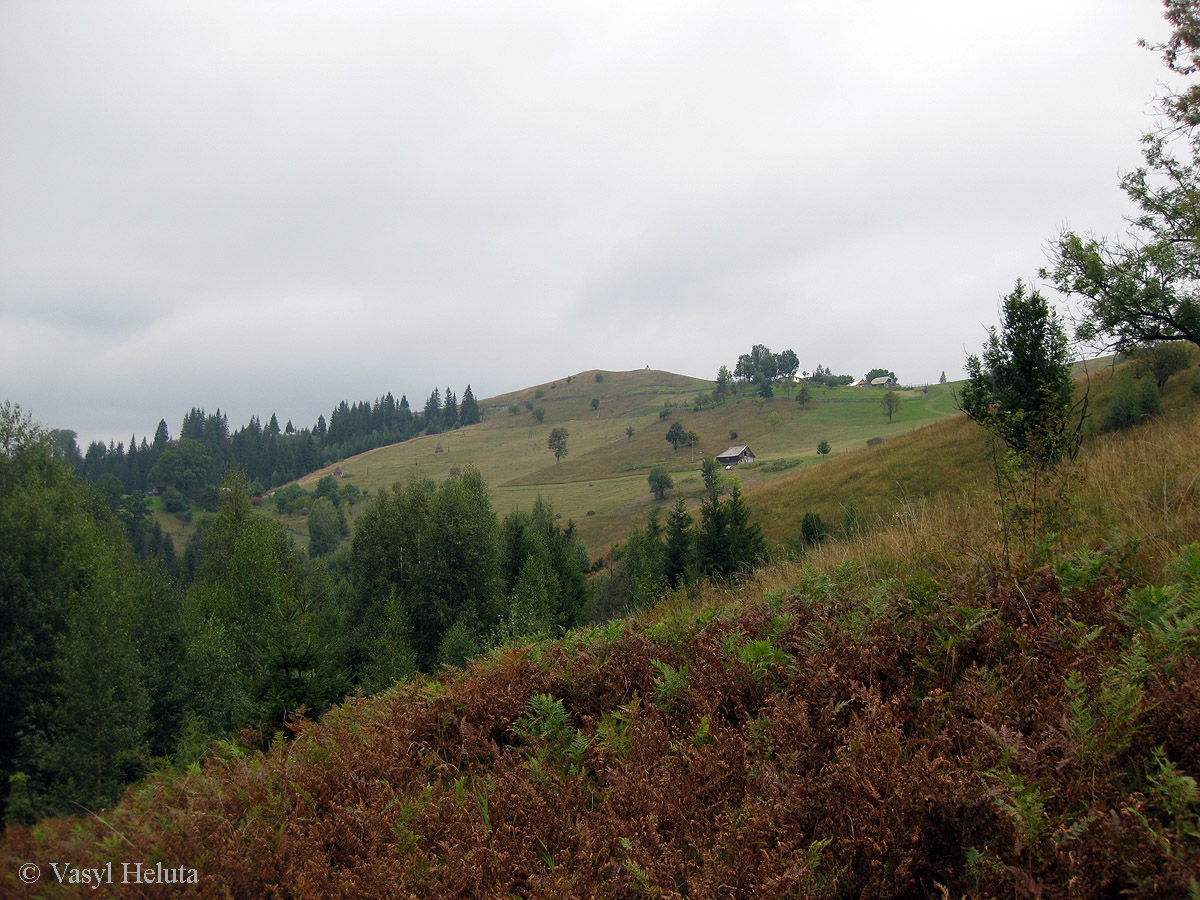 Терношора, image of landscape/habitat.