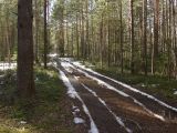 Изображение ландшафта
