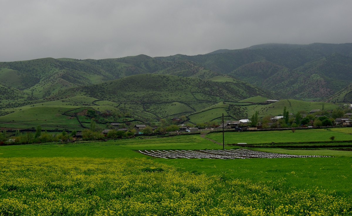 Шеки, image of landscape/habitat.