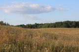 Image of landscape