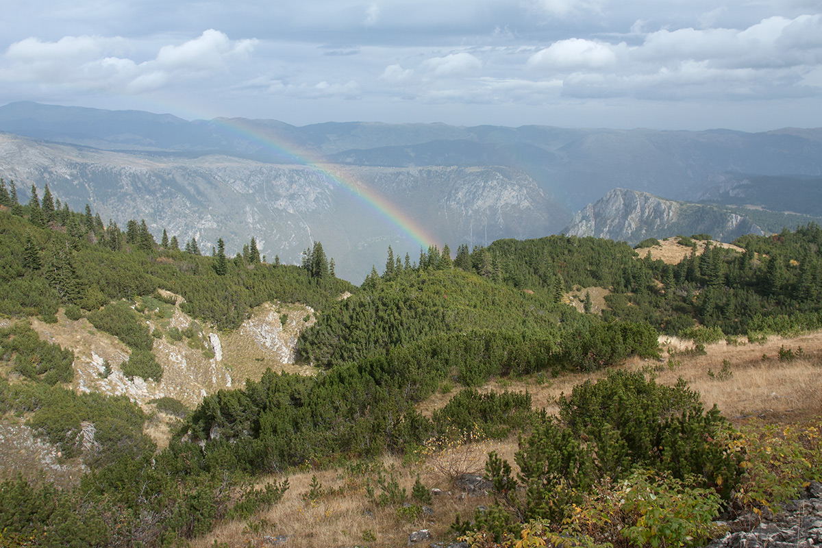 Дурмитор, image of landscape/habitat.