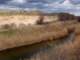 Долина Мокрой Московки, image of landscape/habitat.