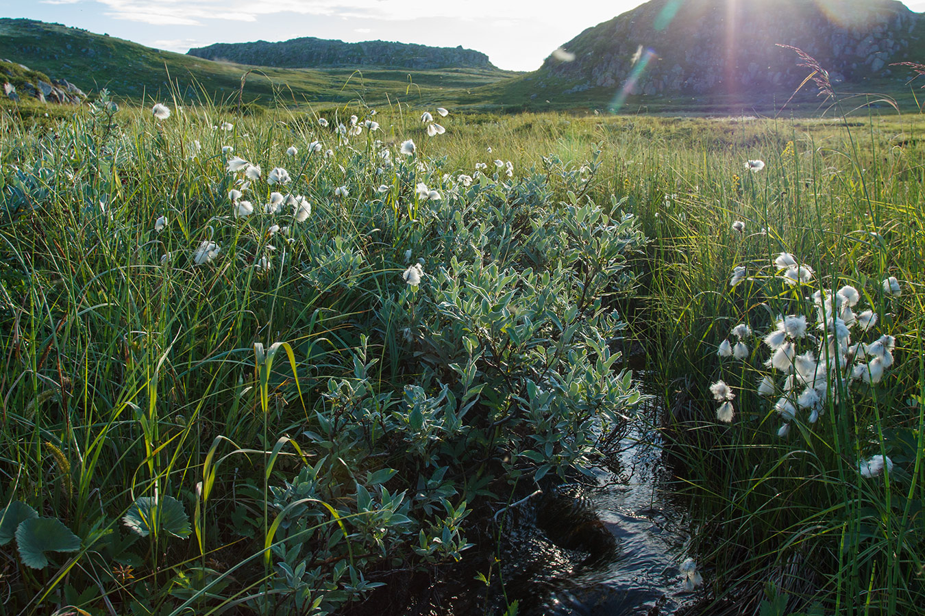 Столбовое озеро, image of landscape/habitat.