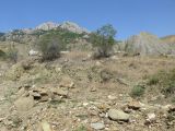 Image of landscape