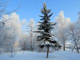 Верхняя Терраса и окрестности, image of landscape/habitat.