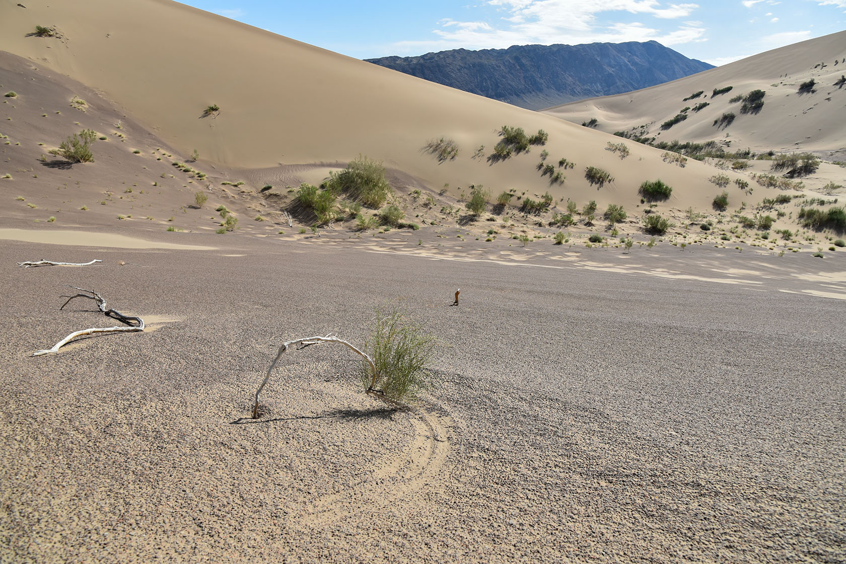 Айгайкум (Поющий бархан), изображение ландшафта.