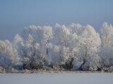 Солдыбаево, image of landscape/habitat.