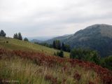 Image of landscape