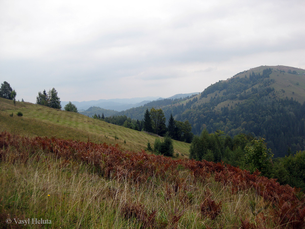 Терношора, image of landscape/habitat.