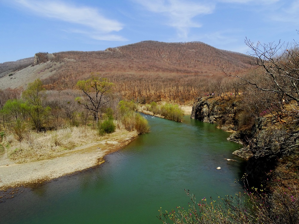 Урочище Щёки (Дарданеллы), image of landscape/habitat.