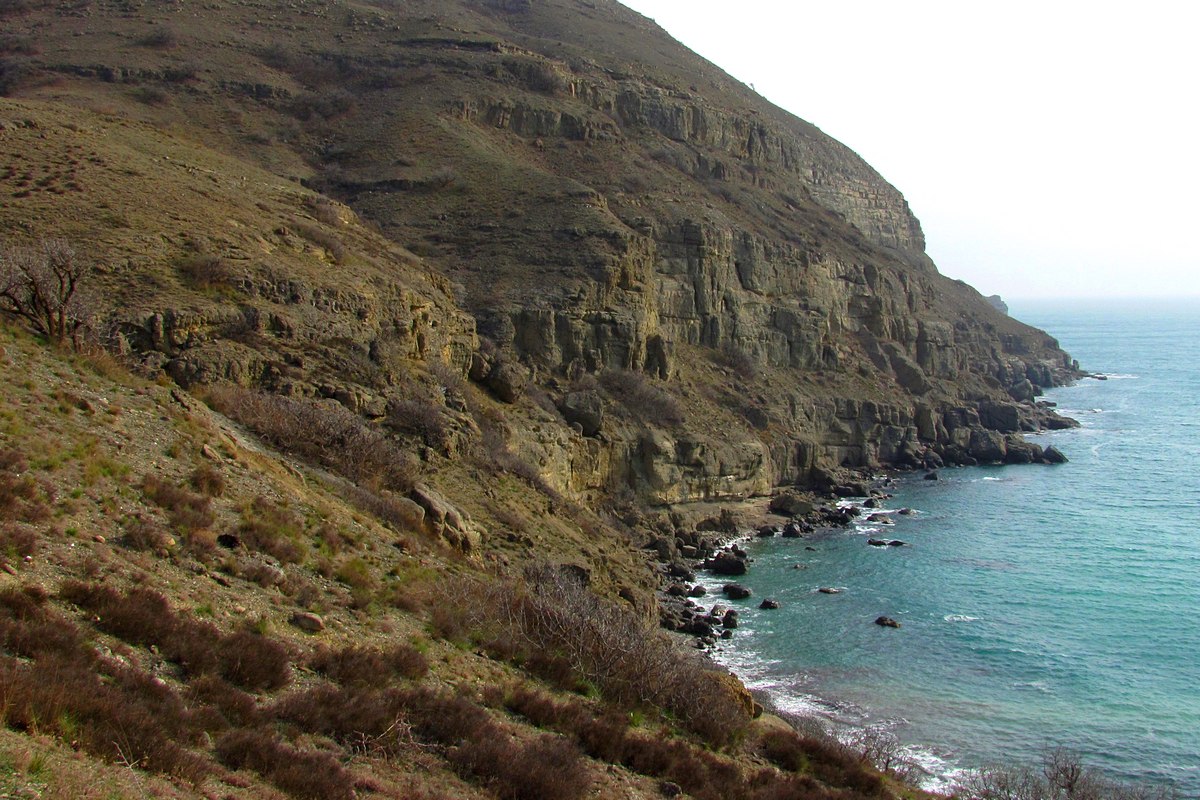 Меганом, image of landscape/habitat.