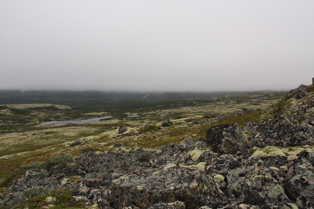 Лисья сопка, image of landscape/habitat.