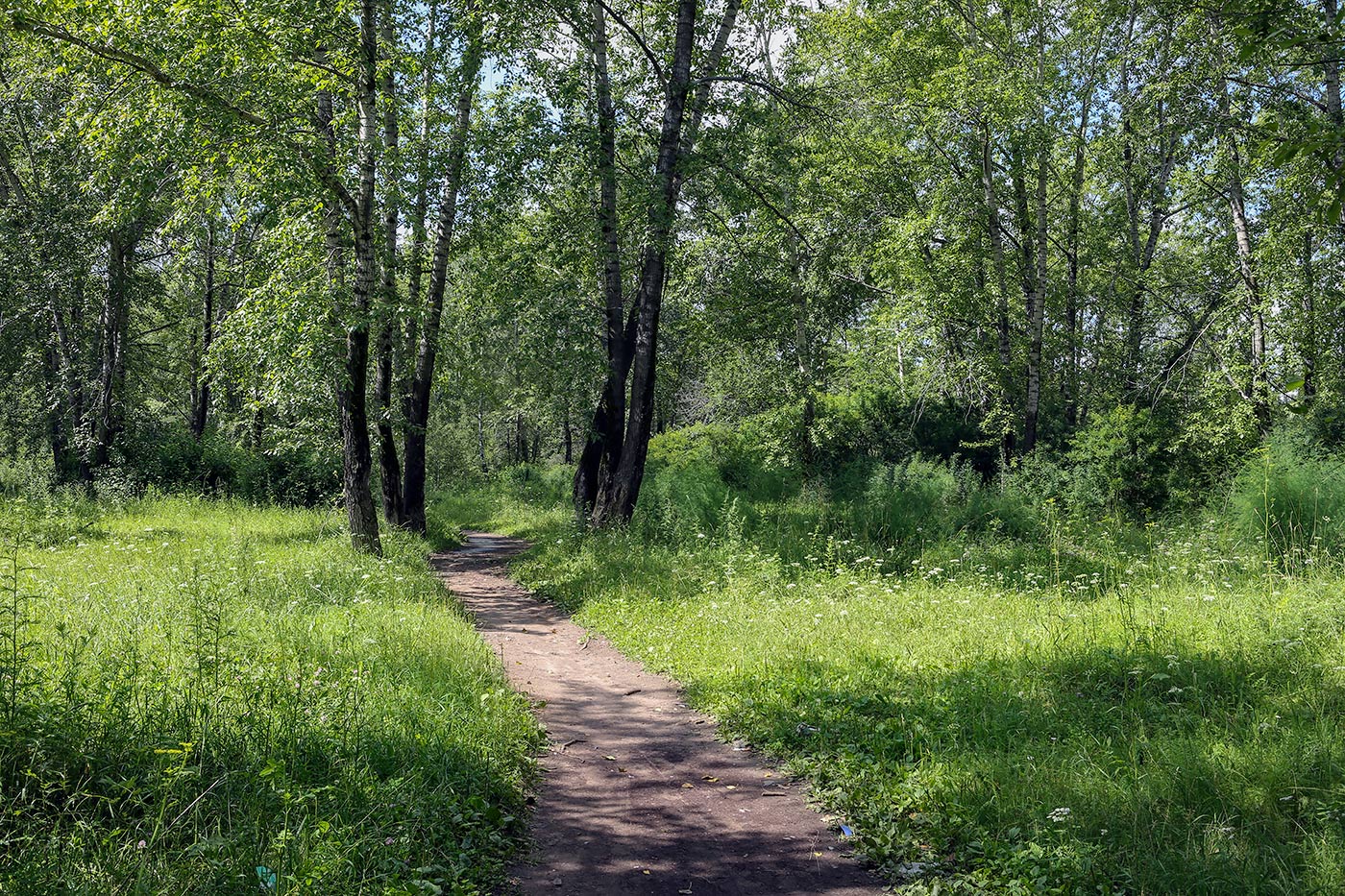 Закамск, изображение ландшафта.