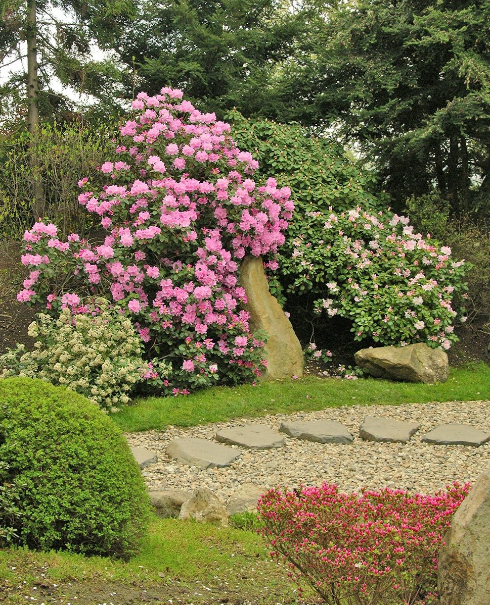 Ботанический сад в Трое, изображение ландшафта.