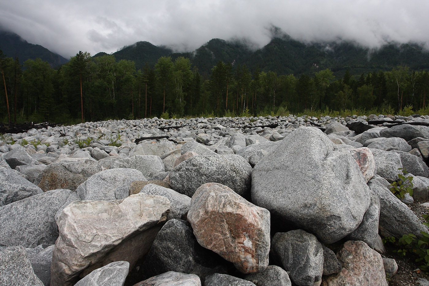 Аршан, image of landscape/habitat.