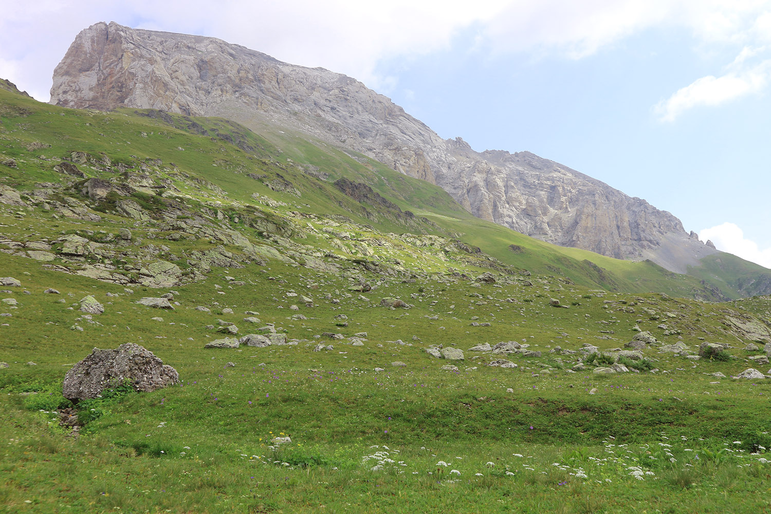 Гора Загедан Скала, image of landscape/habitat.