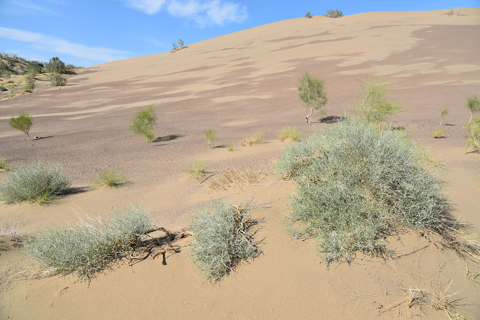 Айгайкум (Поющий бархан), изображение ландшафта.