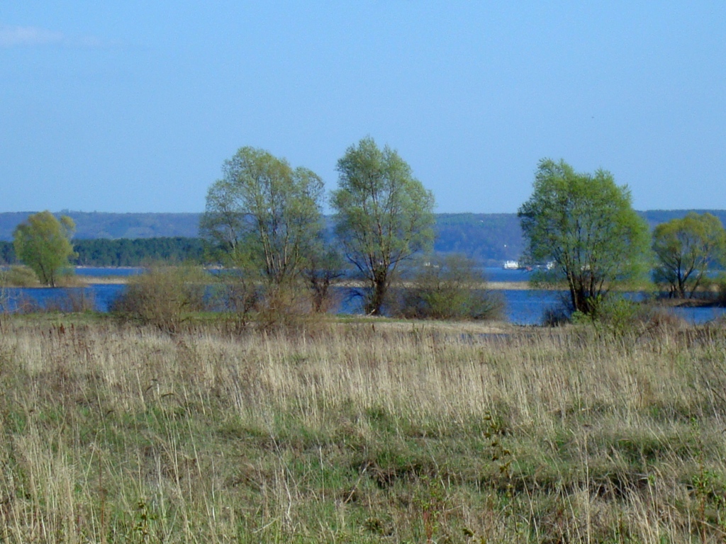 Солдыбаево, image of landscape/habitat.