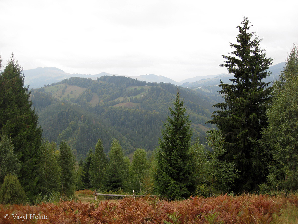 Терношора, image of landscape/habitat.