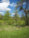 Image of landscape
