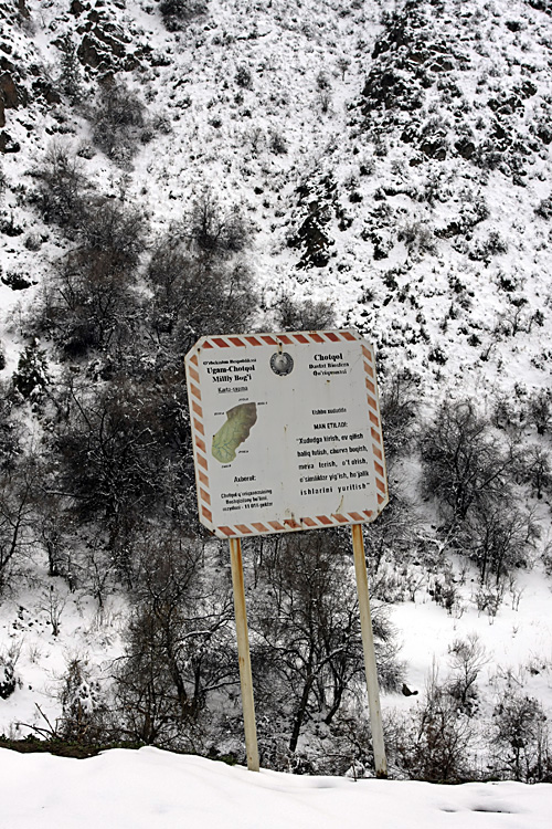 Чаткальский заповедник, изображение ландшафта.