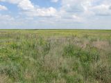 Image of landscape