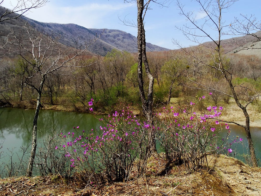 Урочище Щёки (Дарданеллы), image of landscape/habitat.