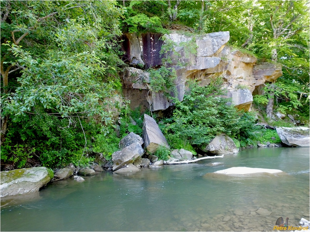 Поляница, image of landscape/habitat.