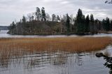 Парк Монрепо, image of landscape/habitat.