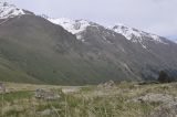 Урочище Экяра, image of landscape/habitat.