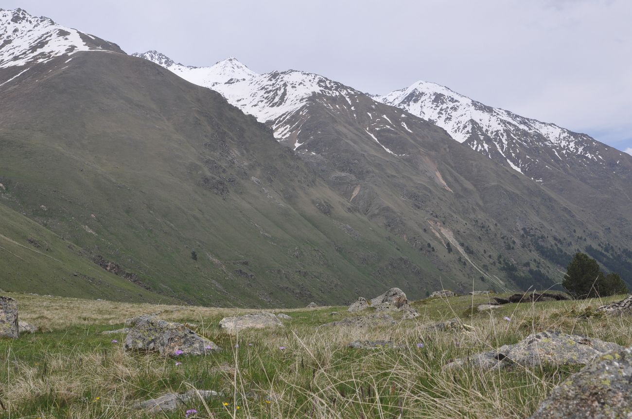 Урочище Экяра, image of landscape/habitat.