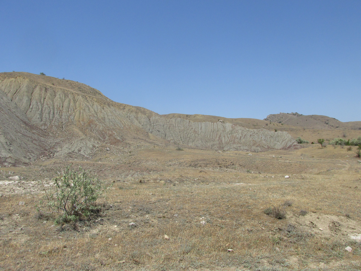 Лисья бухта, image of landscape/habitat.