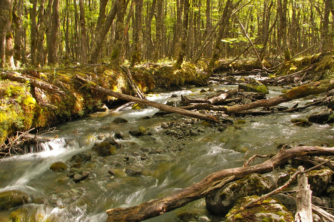 Эль-Чалтен, image of landscape/habitat.