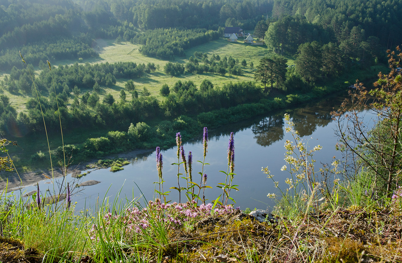 Окрестности Арасланово, image of landscape/habitat.